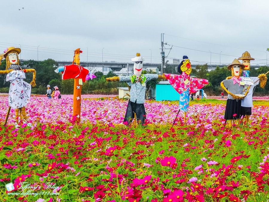 2019桃園花彩節+桃園仙草花節/台版普羅旺斯+五色花海超夢幻/四座摩艾石像等妳來尋找