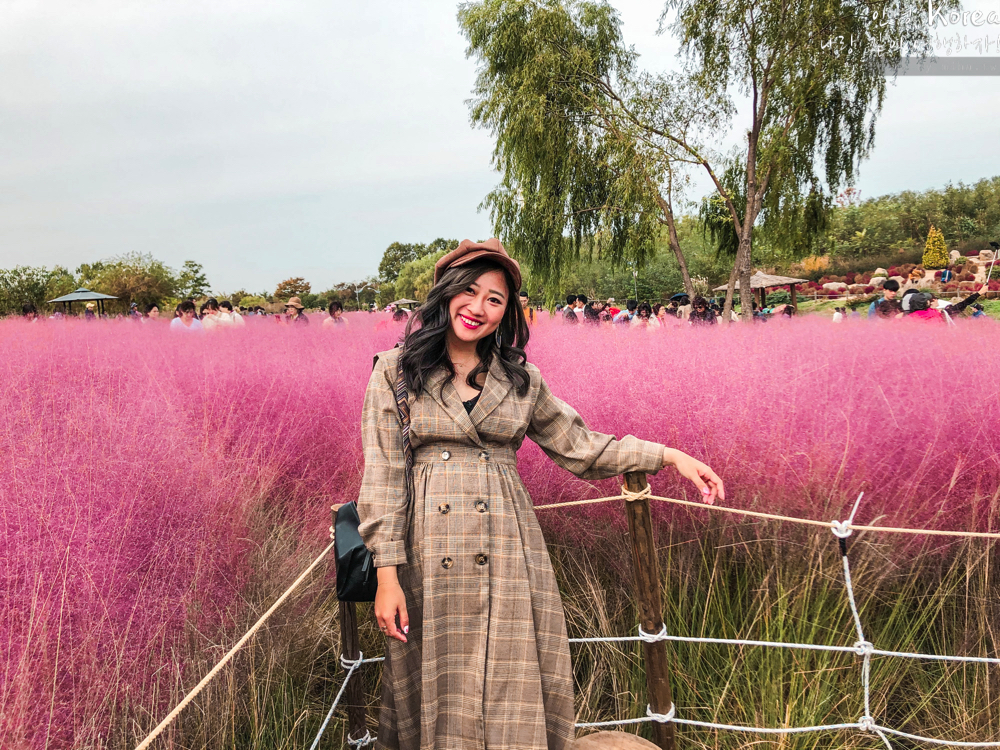 天空公園,首爾自由行,粉紅波波草,粉紅掃帚草,粉紅芒草,首爾景點,首爾好玩