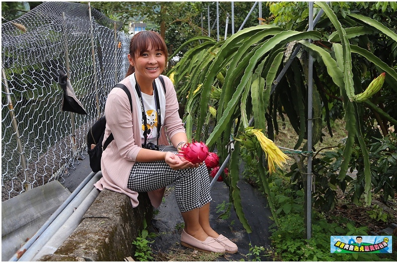 nEO_IMG_21.jpg nEO_IMG_21.jpg