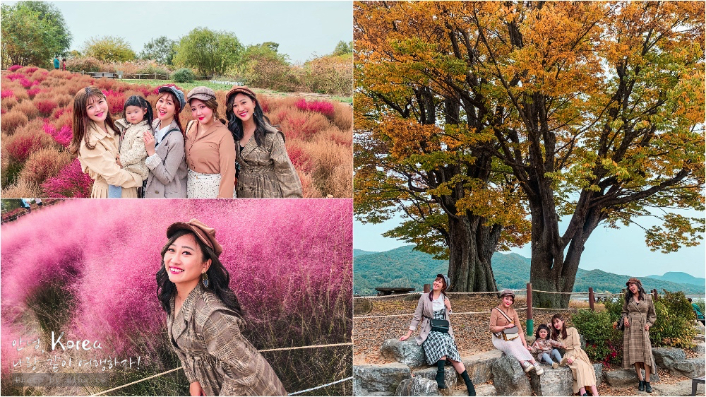 天空公園,首爾自由行,粉紅波波草,粉紅掃帚草,粉紅芒草,首爾景點,首爾好玩