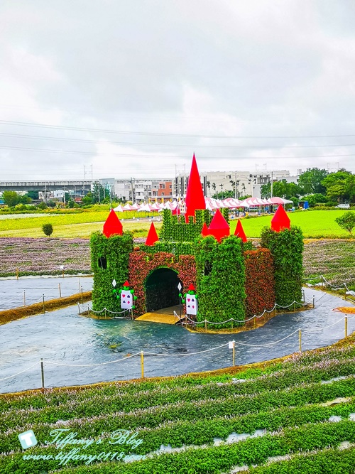 2019桃園花彩節+桃園仙草花節/台版普羅旺斯+五色花海超夢幻/四座摩艾石像等妳來尋找
