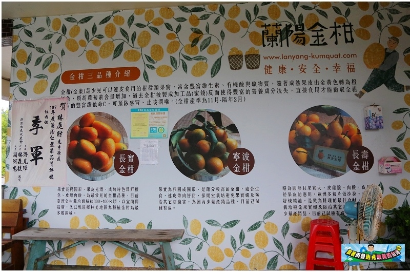 nEO_IMG_29.jpg nEO_IMG_29.jpg