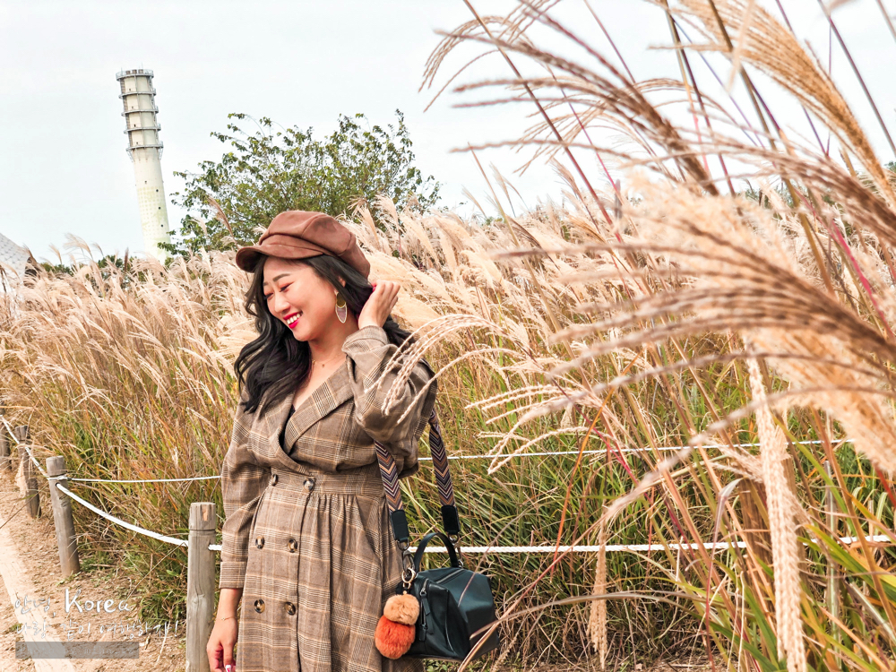 天空公園,首爾自由行,粉紅波波草,粉紅掃帚草,粉紅芒草,首爾景點,首爾好玩