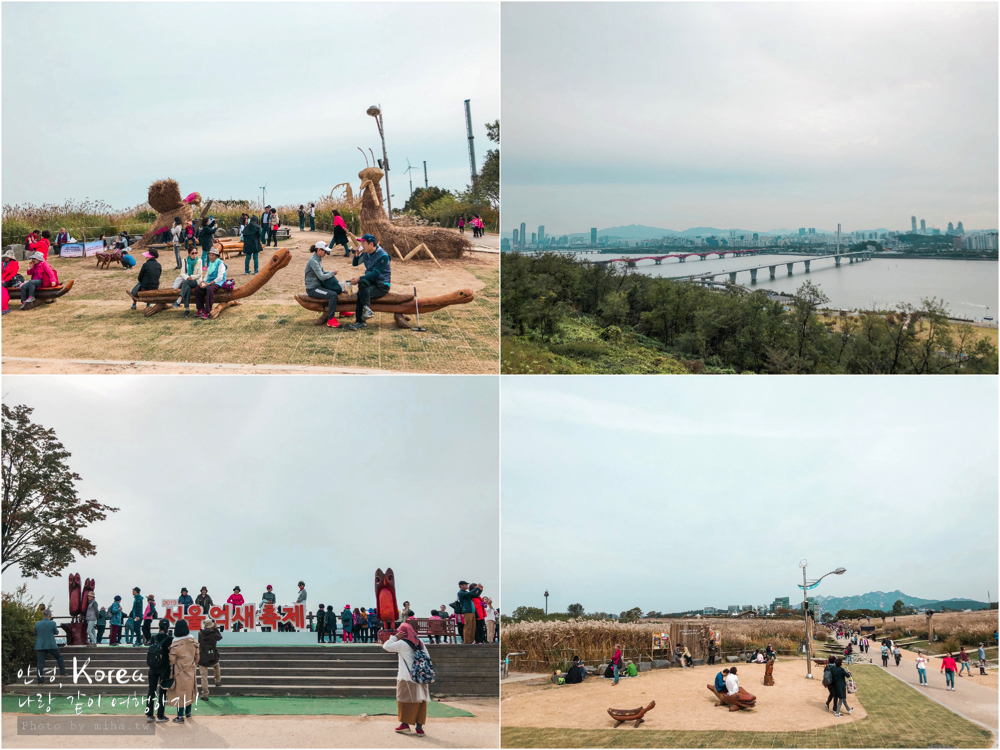 天空公園,首爾自由行,粉紅波波草,粉紅掃帚草,粉紅芒草,首爾景點,首爾好玩