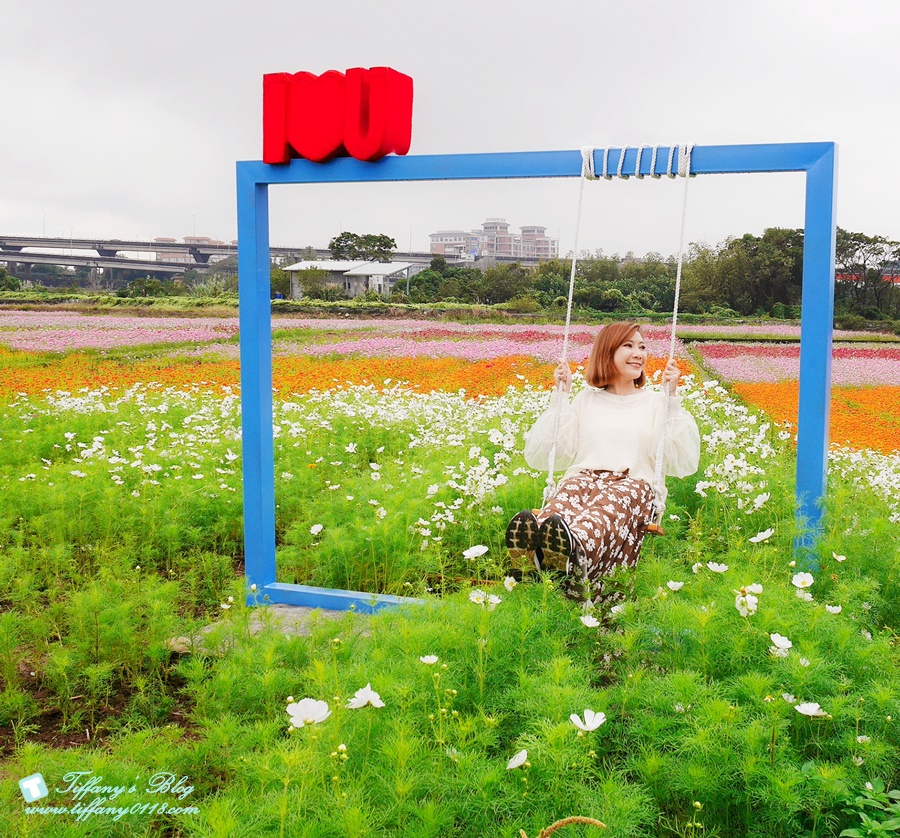 2019桃園花彩節+桃園仙草花節/台版普羅旺斯+五色花海超夢幻/四座摩艾石像等妳來尋找