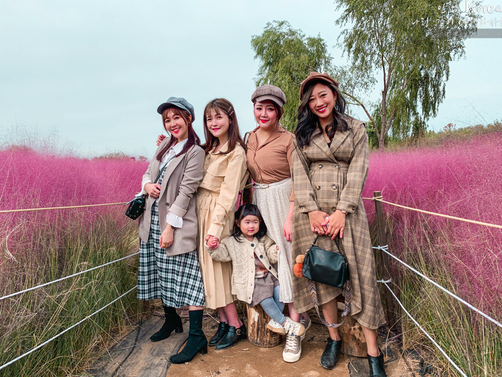 天空公園,首爾自由行,粉紅波波草,粉紅掃帚草,粉紅芒草,首爾景點,首爾好玩