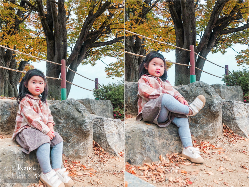 天空公園,首爾自由行,粉紅波波草,粉紅掃帚草,粉紅芒草,首爾景點,首爾好玩