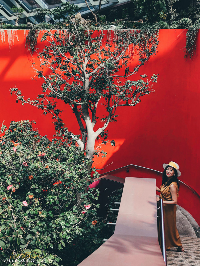 濱海灣花園,冷室,新加坡景點,新加坡好玩,新加坡自由行,新加坡燈光秀,雲霧林花穹