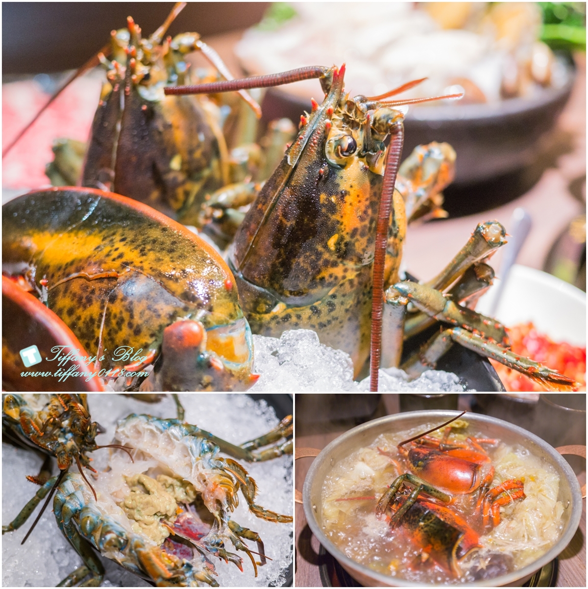 [蘆洲火鍋推薦]銅花精緻涮涮鍋/活龍蝦買一送一超划算/高檔食材+桌邊服務讓妳視覺味覺雙享受