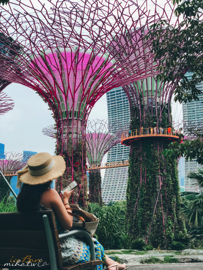 濱海灣花園,冷室,新加坡景點,新加坡好玩,新加坡自由行,新加坡燈光秀,雲霧林花穹
