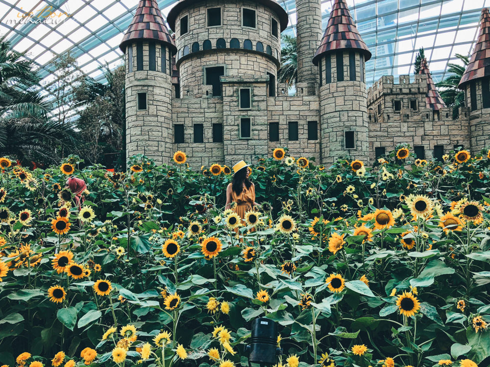濱海灣花園,冷室,新加坡景點,新加坡好玩,新加坡自由行,新加坡燈光秀,雲霧林花穹