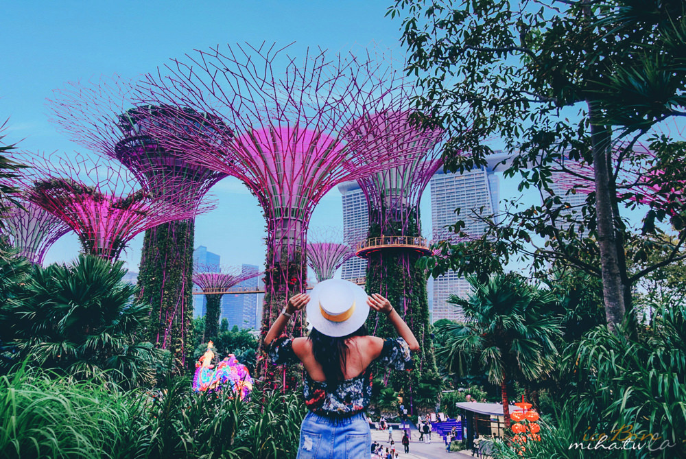 濱海灣花園,冷室,新加坡景點,新加坡好玩,新加坡自由行,新加坡燈光秀,雲霧林花穹