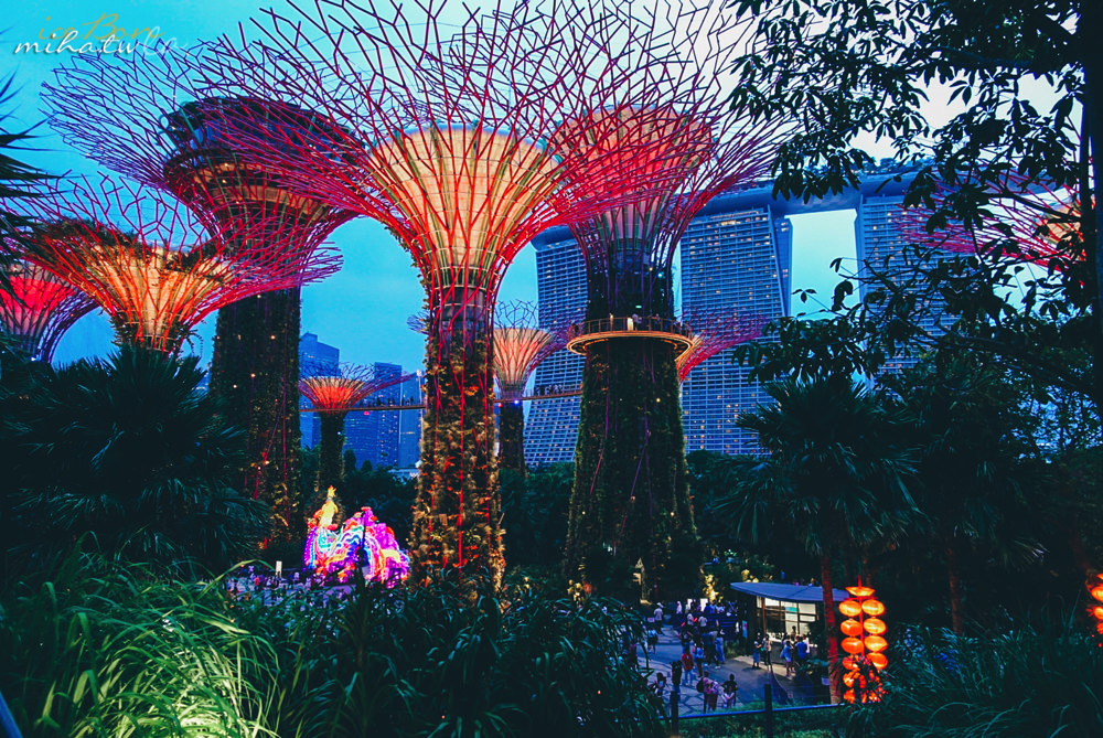 濱海灣花園,冷室,新加坡景點,新加坡好玩,新加坡自由行,新加坡燈光秀,雲霧林花穹