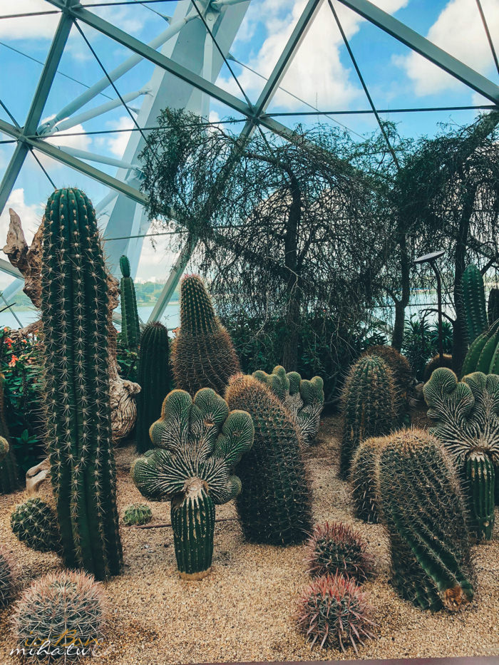 濱海灣花園,冷室,新加坡景點,新加坡好玩,新加坡自由行,新加坡燈光秀,雲霧林花穹