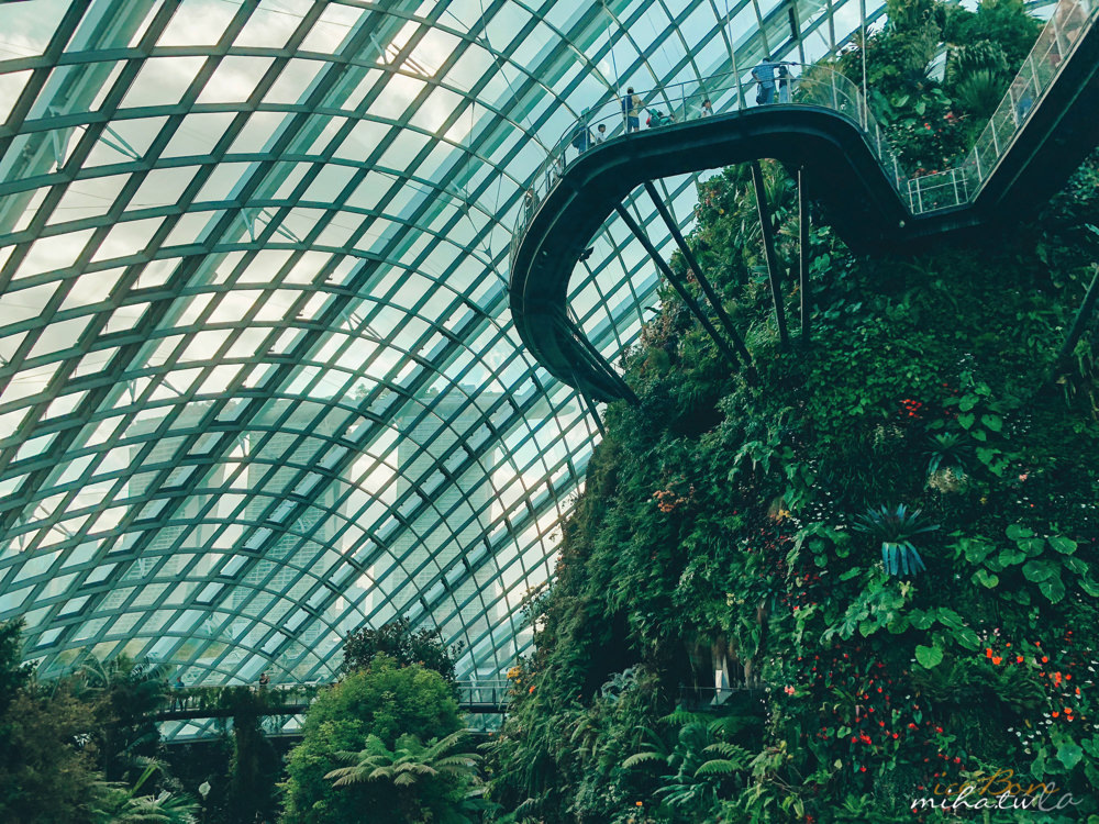 濱海灣花園,冷室,新加坡景點,新加坡好玩,新加坡自由行,新加坡燈光秀,雲霧林花穹