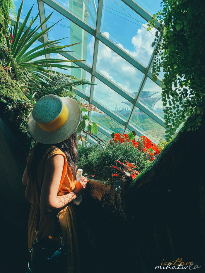 濱海灣花園,冷室,新加坡景點,新加坡好玩,新加坡自由行,新加坡燈光秀,雲霧林花穹