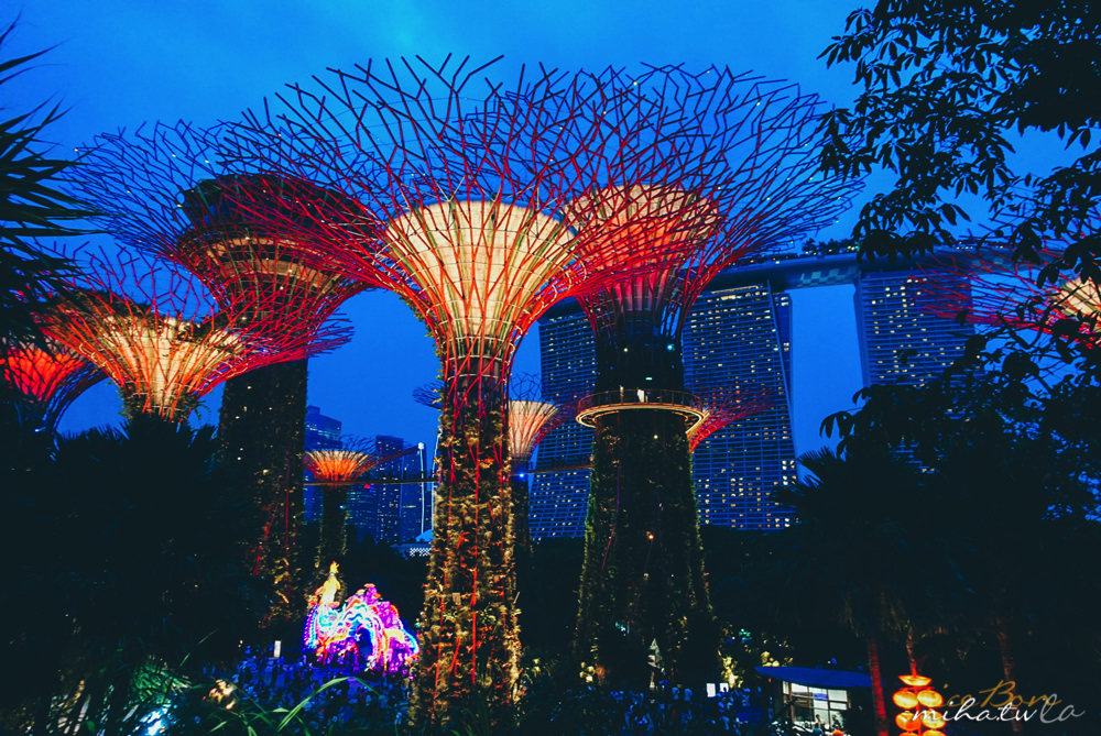 濱海灣花園,冷室,新加坡景點,新加坡好玩,新加坡自由行,新加坡燈光秀,雲霧林花穹