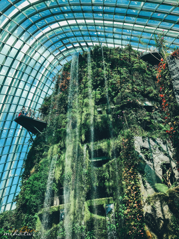 濱海灣花園,冷室,新加坡景點,新加坡好玩,新加坡自由行,新加坡燈光秀,雲霧林花穹