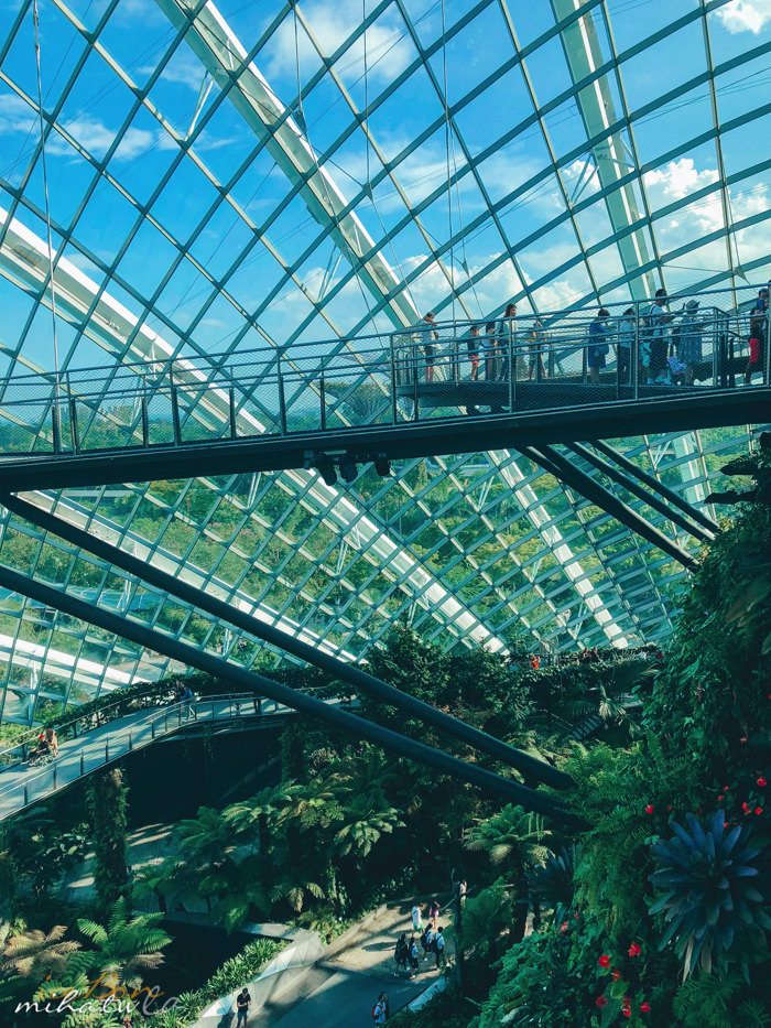 濱海灣花園,冷室,新加坡景點,新加坡好玩,新加坡自由行,新加坡燈光秀,雲霧林花穹
