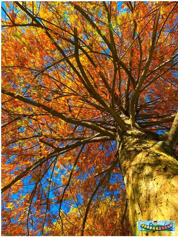 nEO_IMG_3.jpg nEO_IMG_3.jpg