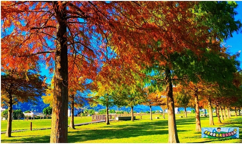 nEO_IMG_1.jpg nEO_IMG_1.jpg