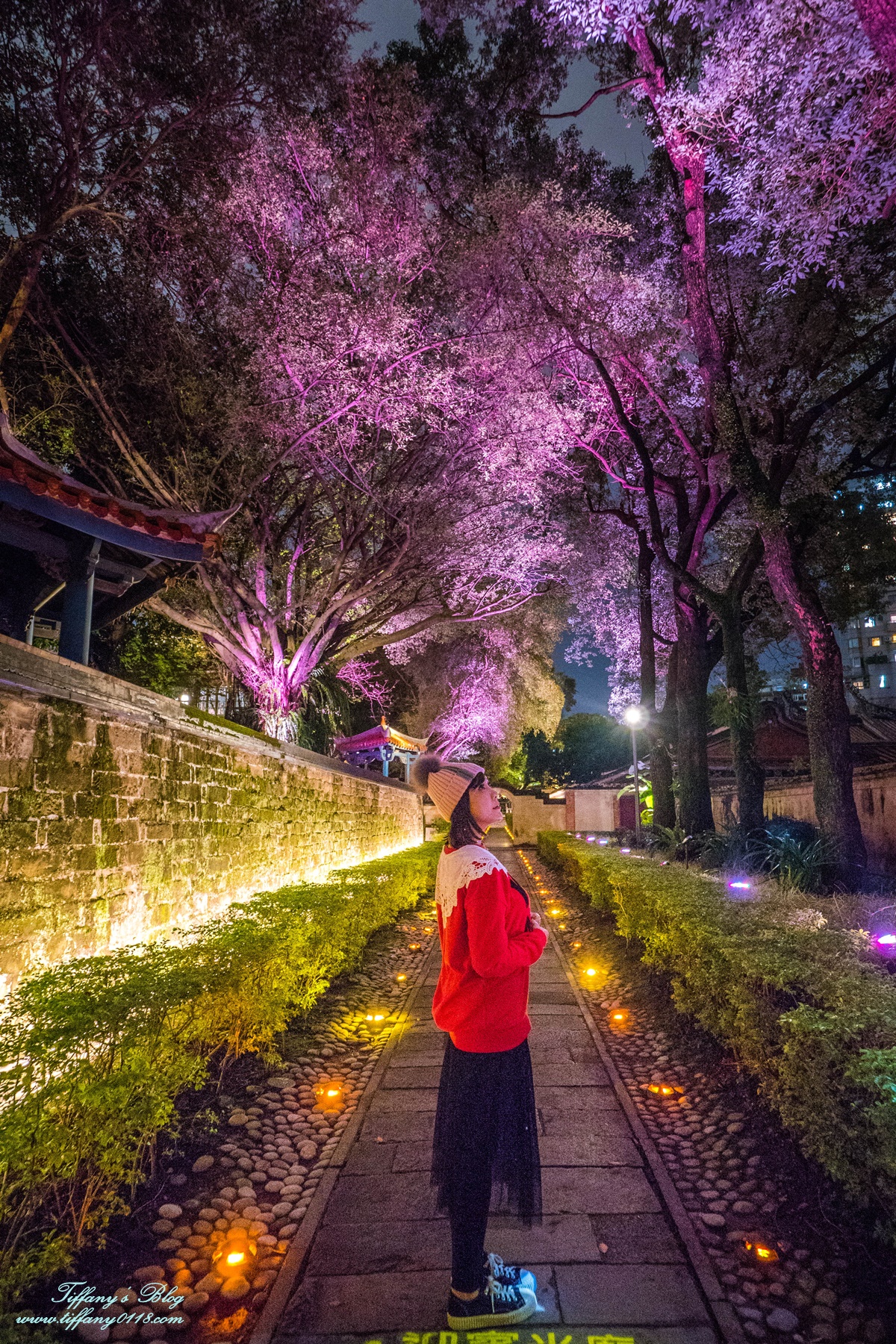 板橋林家花園「蝶舞光綴」光雕秀/每週五週六夜限定/新北市民免費入場/林家花園點燈活動