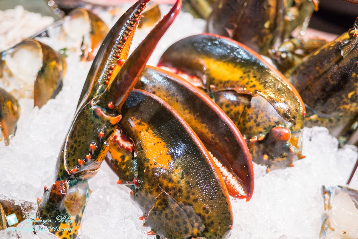 [蘆洲火鍋推薦]銅花精緻涮涮鍋/活龍蝦買一送一超划算/高檔食材+桌邊服務讓妳視覺味覺雙享受
