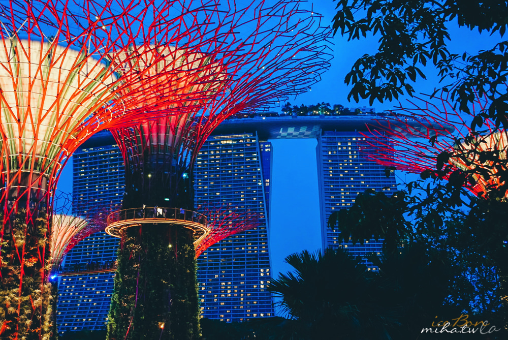 濱海灣花園,冷室,新加坡景點,新加坡好玩,新加坡自由行,新加坡燈光秀,雲霧林花穹
