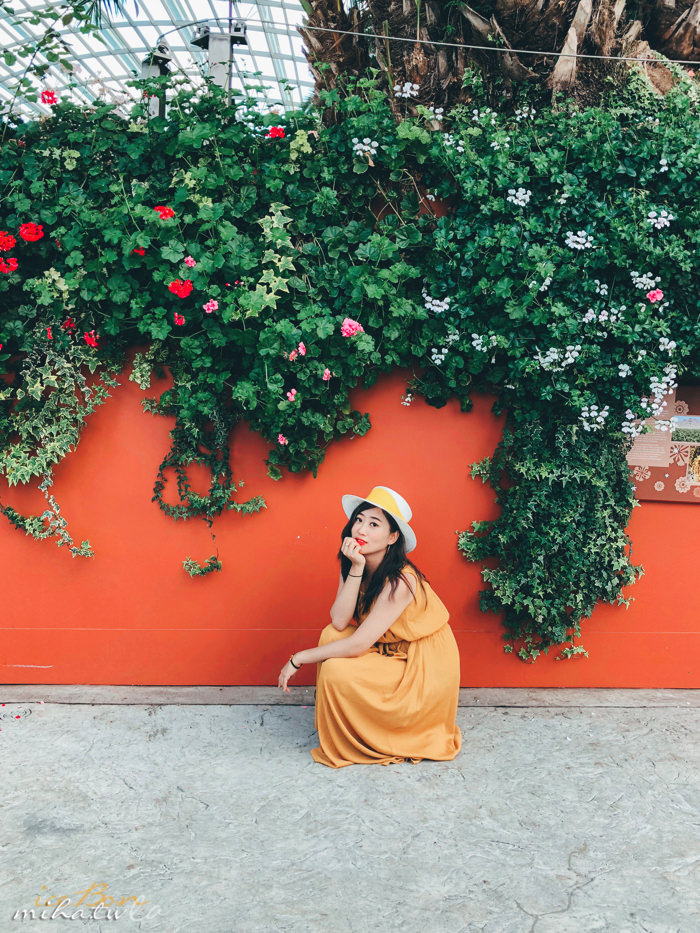 濱海灣花園,冷室,新加坡景點,新加坡好玩,新加坡自由行,新加坡燈光秀,雲霧林花穹