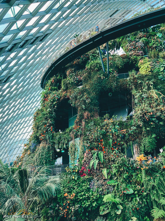濱海灣花園,冷室,新加坡景點,新加坡好玩,新加坡自由行,新加坡燈光秀,雲霧林花穹