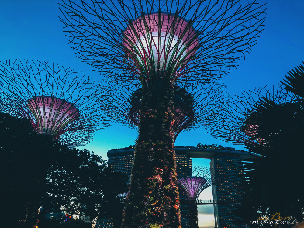 濱海灣花園,冷室,新加坡景點,新加坡好玩,新加坡自由行,新加坡燈光秀,雲霧林花穹