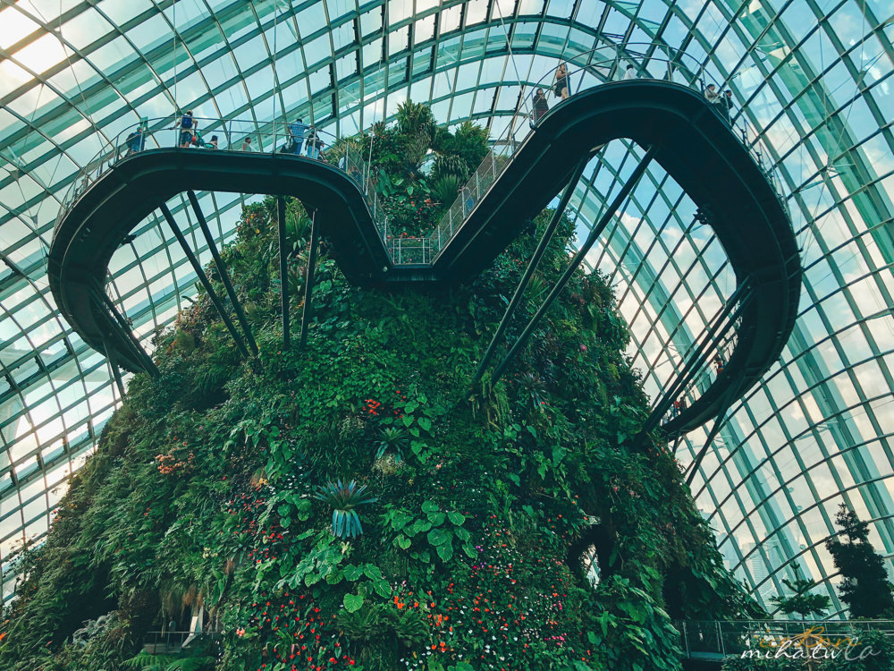 濱海灣花園,冷室,新加坡景點,新加坡好玩,新加坡自由行,新加坡燈光秀,雲霧林花穹