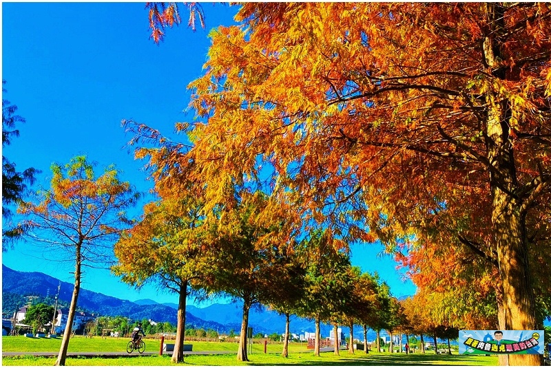 nEO_IMG_2.jpg nEO_IMG_2.jpg