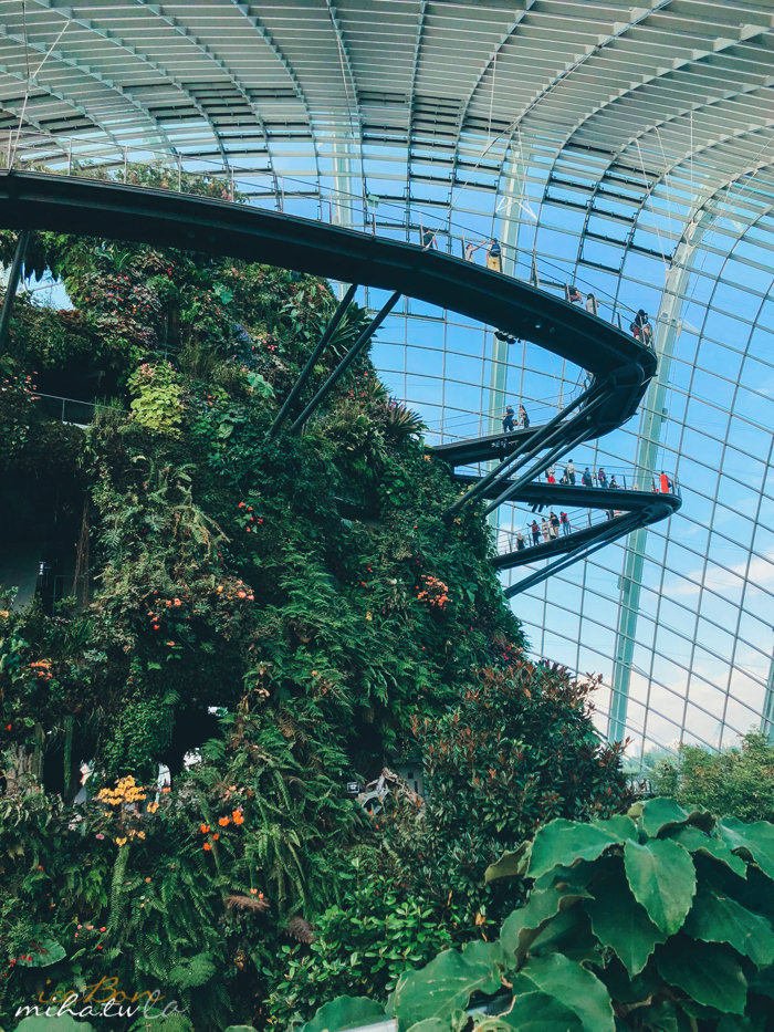 濱海灣花園,冷室,新加坡景點,新加坡好玩,新加坡自由行,新加坡燈光秀,雲霧林花穹