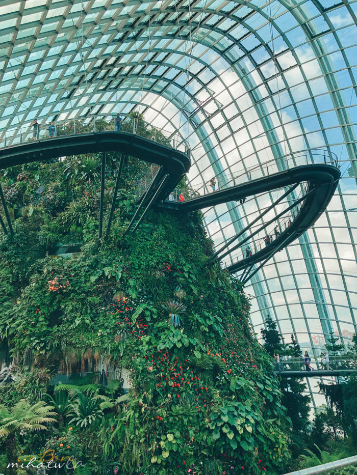 濱海灣花園,冷室,新加坡景點,新加坡好玩,新加坡自由行,新加坡燈光秀,雲霧林花穹