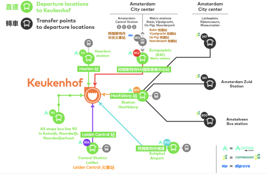 荷蘭, 荷蘭庫肯霍夫花園, 鬱金香, 荷蘭自由行