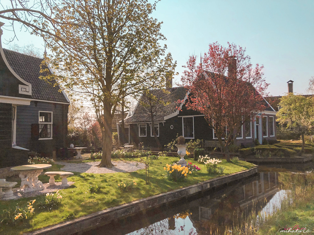 荷蘭, 荷蘭風車村, 贊斯堡, 荷蘭自由行, 荷蘭花之城