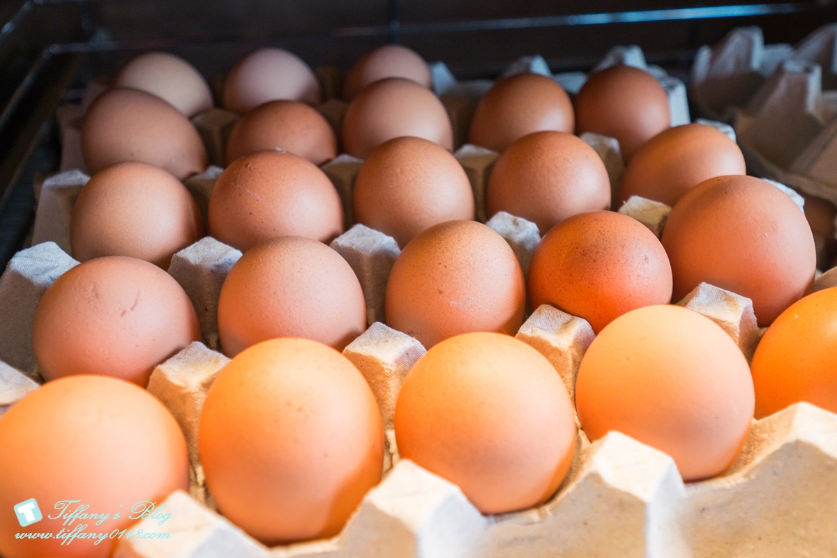 [西門町美食]新馬辣經典麻辣鍋漢中店(附菜單)/黑毛和牛+天使紅蝦+無骨牛小排+高檔海鮮吃到飽/食材新鮮超划算