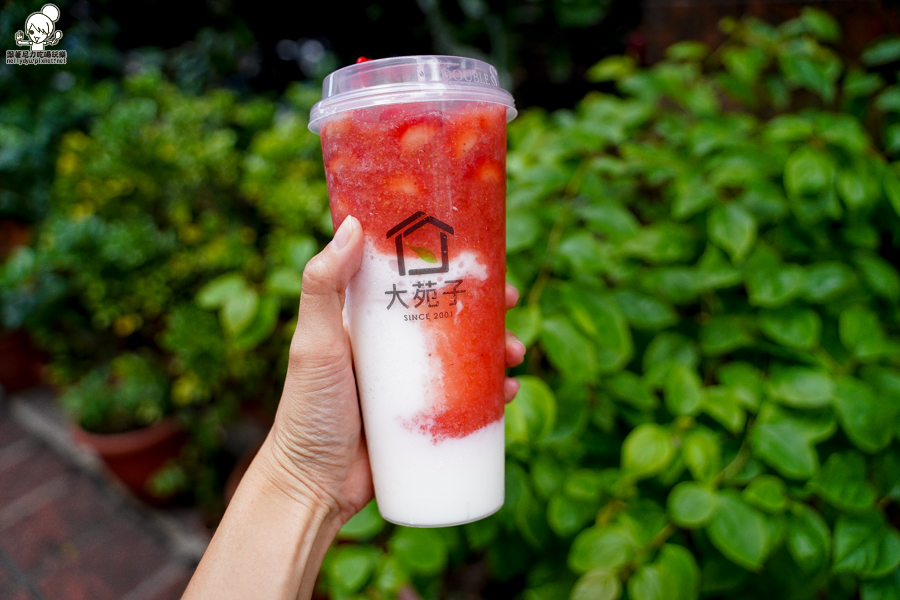 大苑子、莓好相遇、草莓、草莓季、草莓控、大湖草莓、新鮮草莓、18 顆新鮮草莓