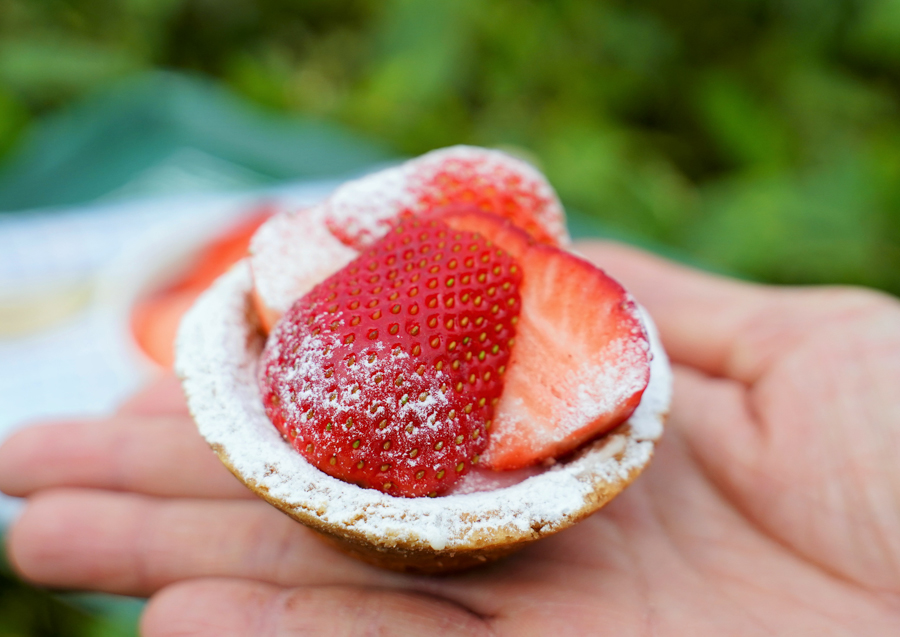 巧遇手工甜點 高雄美食 高雄必吃 超人氣甜點