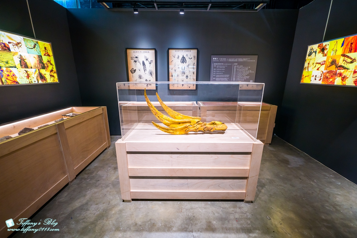 [高雄展覽]DINOLAB恐龍實驗室-救援任務/結合科普美學與教育的親子互動體驗展/現場買便宜門票攻略