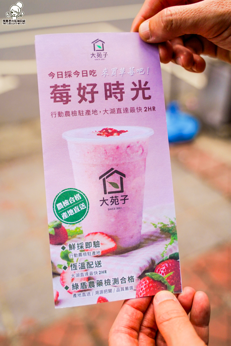 大苑子、莓好相遇、草莓、草莓季、草莓控、大湖草莓、新鮮草莓、18 顆新鮮草莓