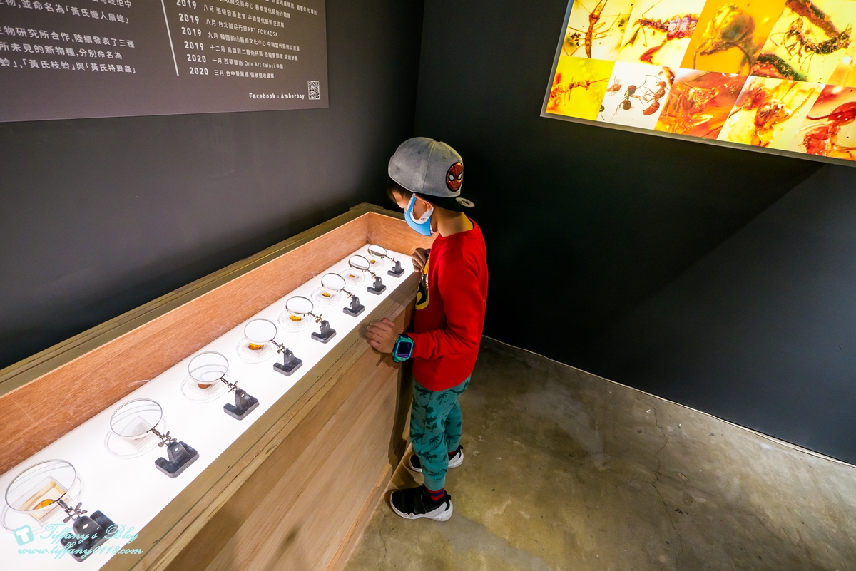 [高雄展覽]DINOLAB恐龍實驗室-救援任務/結合科普美學與教育的親子互動體驗展/現場買便宜門票攻略