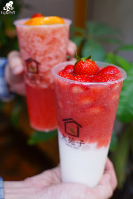 大苑子、莓好相遇、草莓、草莓季、草莓控、大湖草莓、新鮮草莓、18 顆新鮮草莓