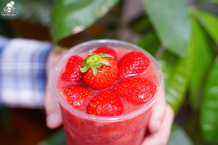 大苑子、莓好相遇、草莓、草莓季、草莓控、大湖草莓、新鮮草莓、18 顆新鮮草莓