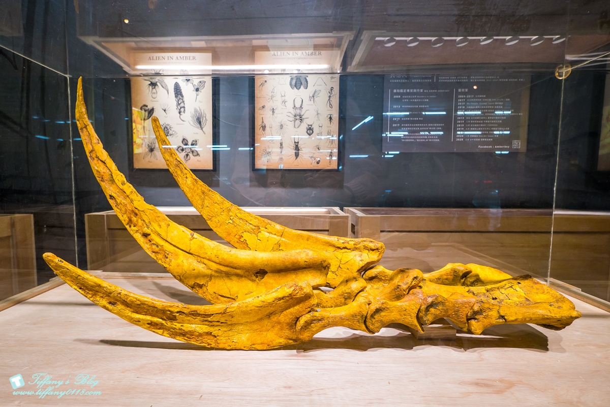 [高雄展覽]DINOLAB恐龍實驗室-救援任務/結合科普美學與教育的親子互動體驗展/現場買便宜門票攻略