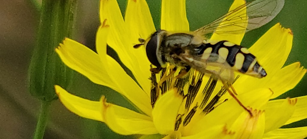 20200318_084038_resized