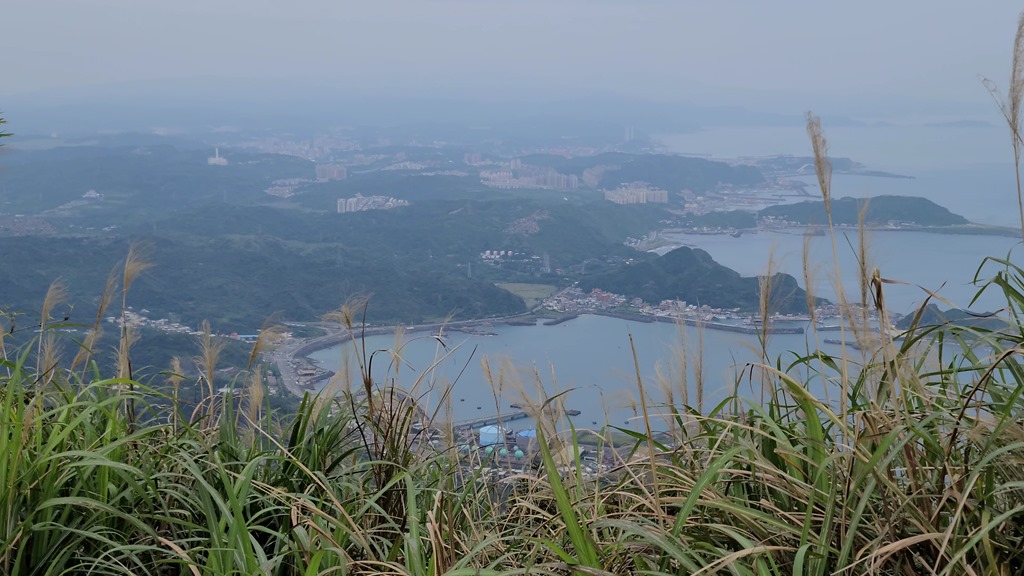 VideoCapture_20200319-135601