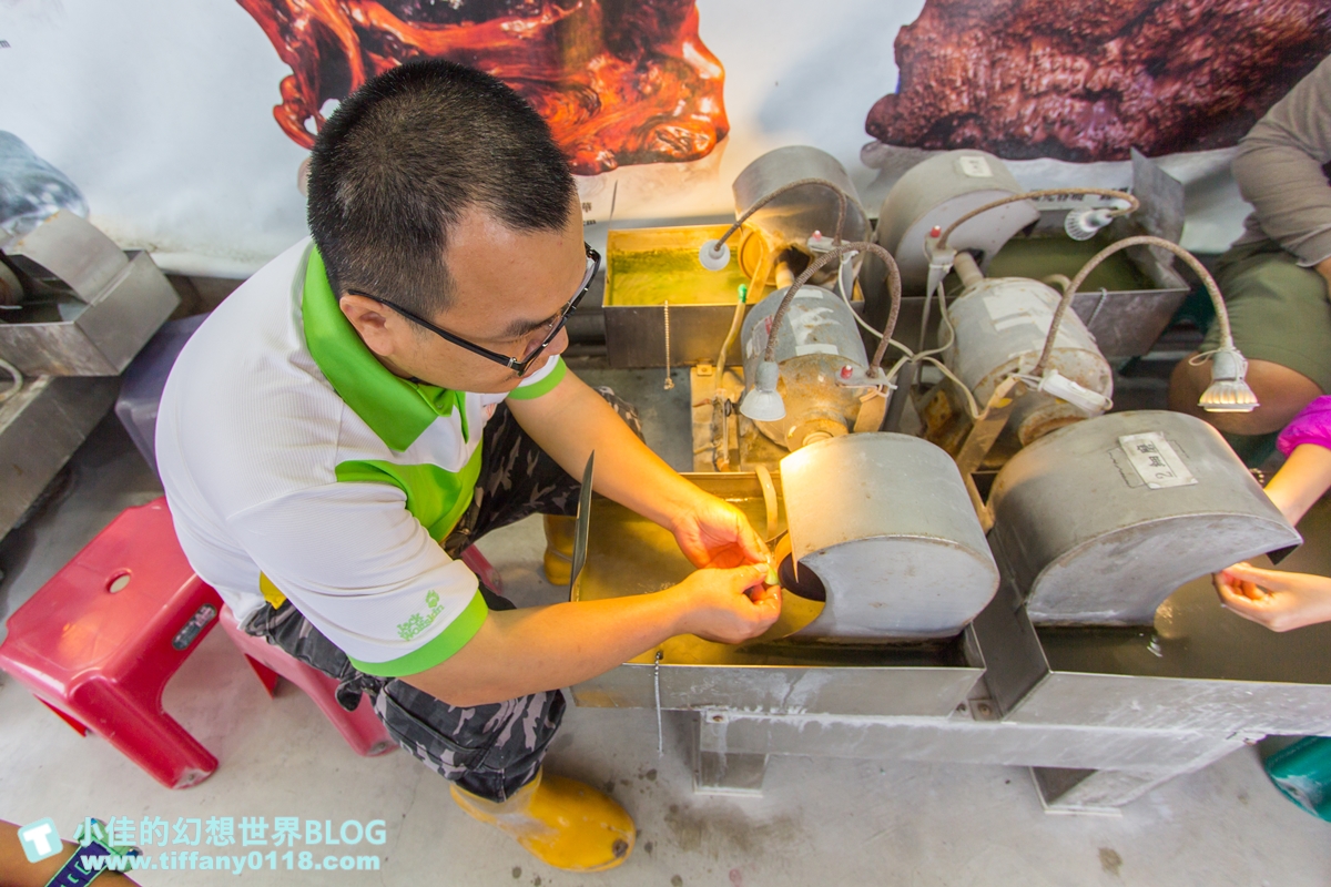 [花蓮親子景點]鍾華玉石藝術工坊/親子玉石DIY體驗推薦/安全又好玩還有獨一無二的玉石紀念品