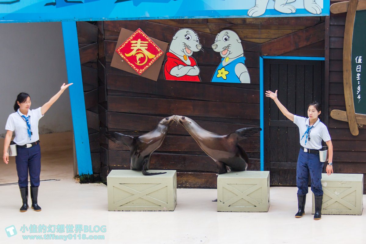 2020花蓮遠雄海洋公園全攻略/必看海豚海獅表演/八大園區+四大主題表演讓你一整天都玩到